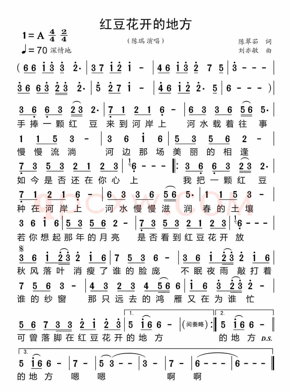 红豆花开的地方