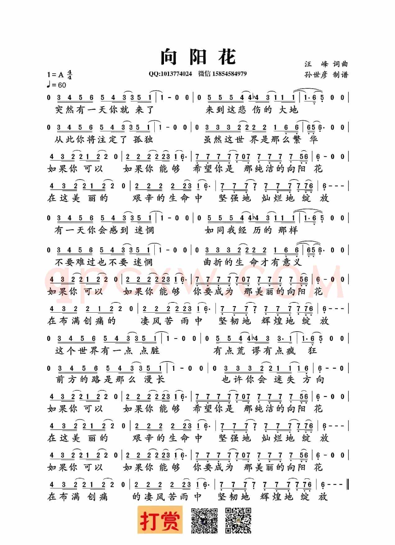 向阳花（汪峰词曲）