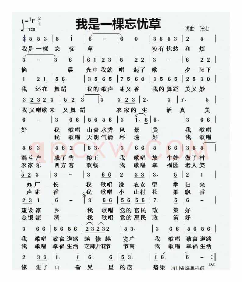 我是一棵忘忧草