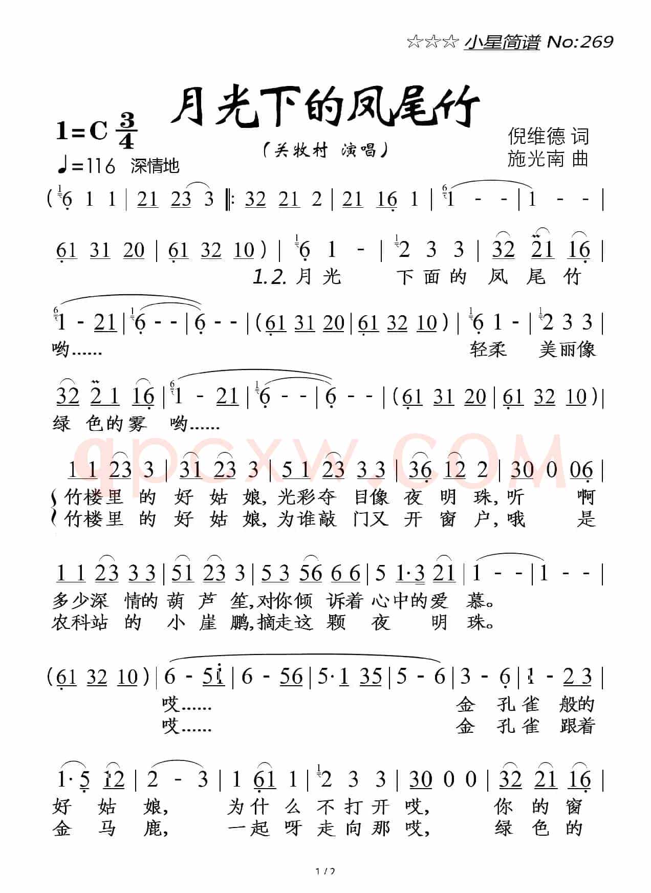 月光下的凤尾竹