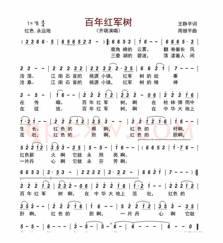 百年红军树