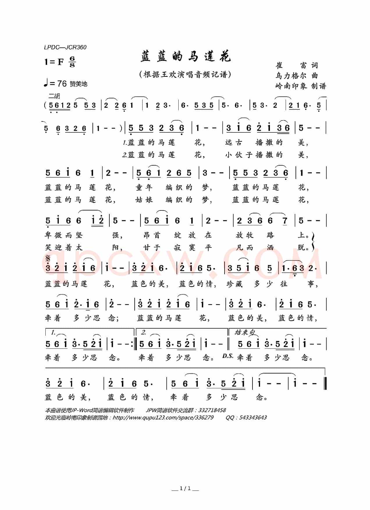 蓝蓝的马莲花