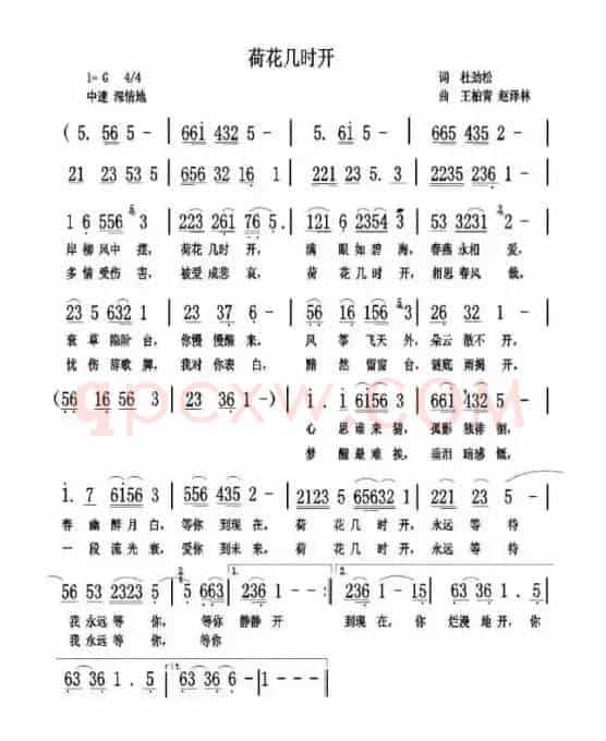 荷花几时开
