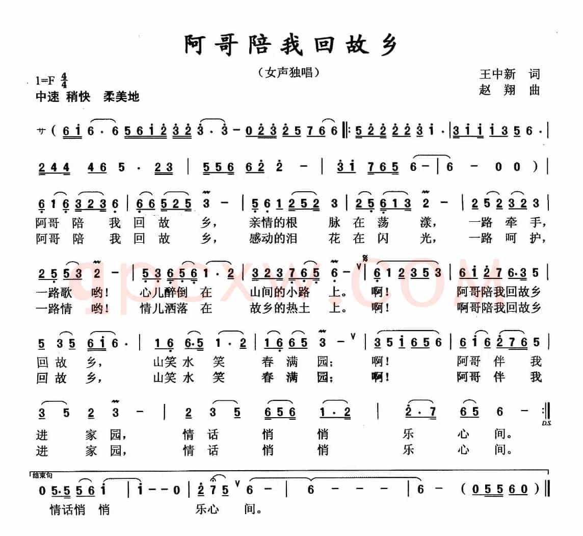 阿哥陪我回故乡