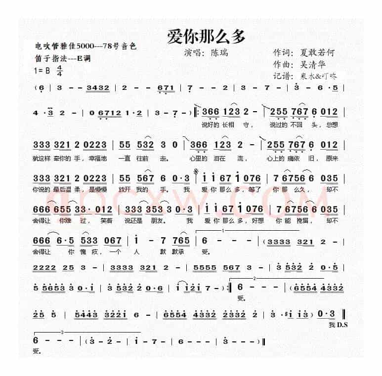 爱你那么多（电吹管）