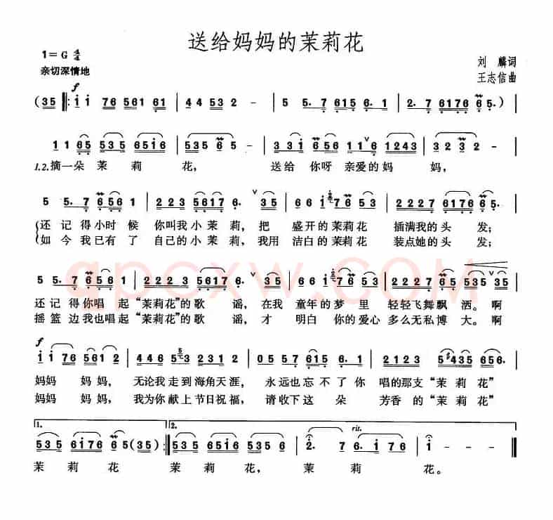 送给妈妈的茉莉花