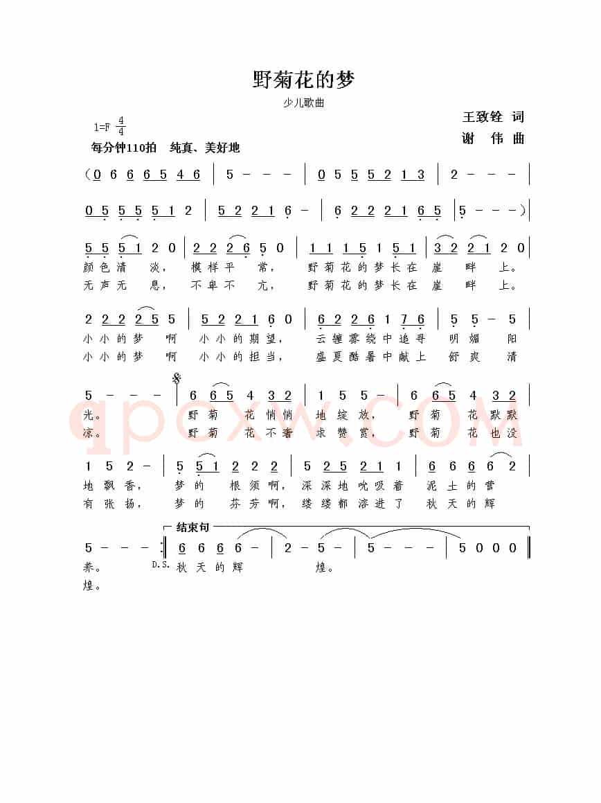 野菊花的梦（王致铨词  谢伟曲）