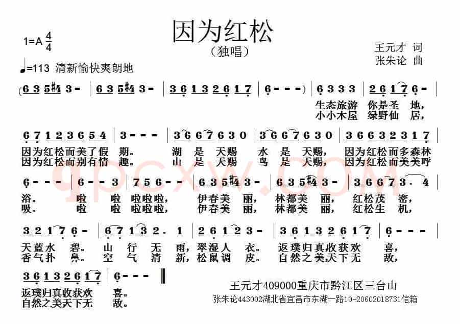 因为红松 
