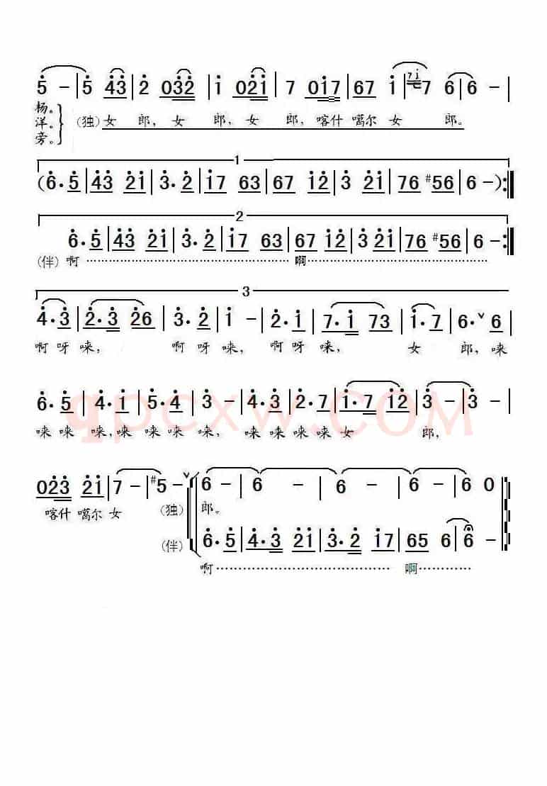 喀什噶尔女郎