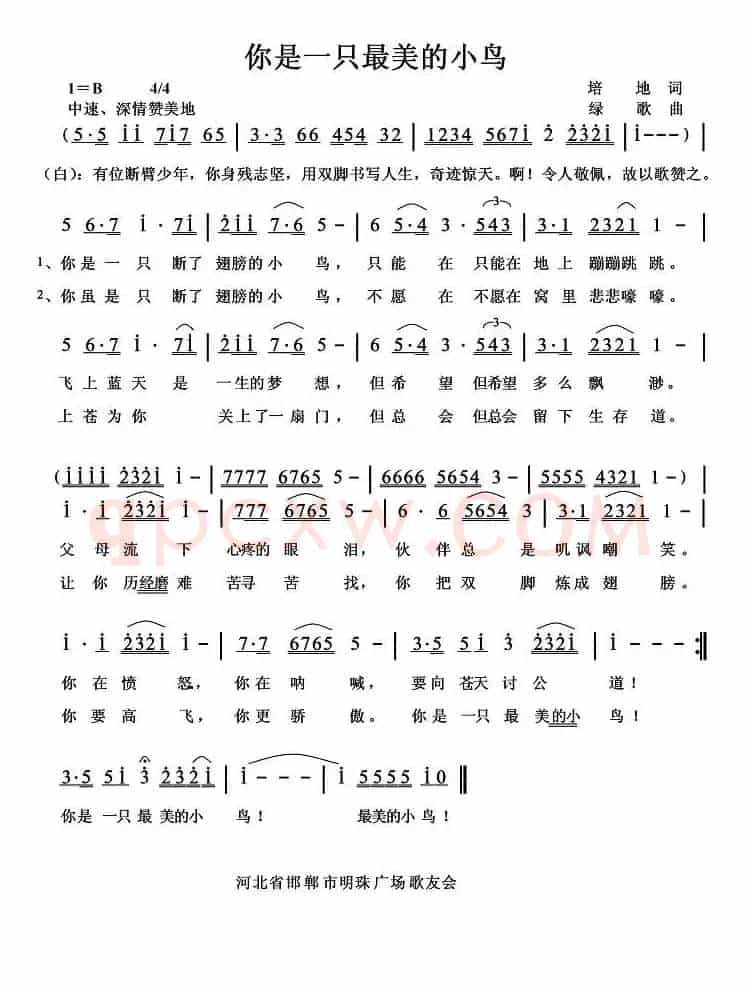 你是一只最美的小鸟