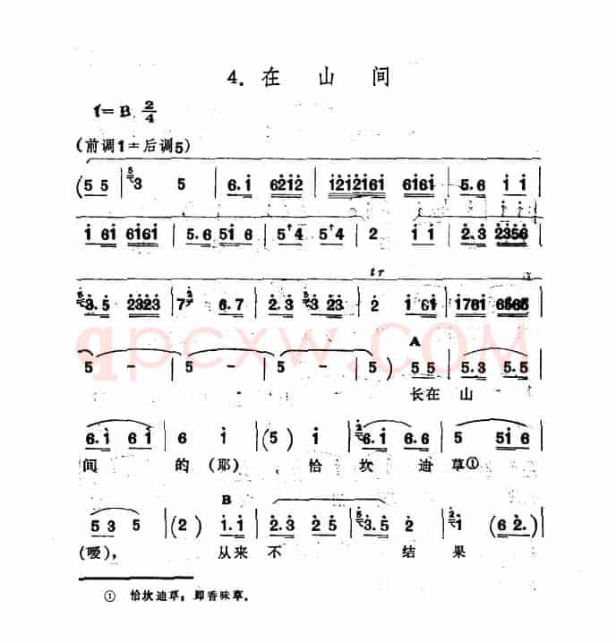 在山间（新疆伊犁 维吾尔民歌 第十二套《小莱龙》）