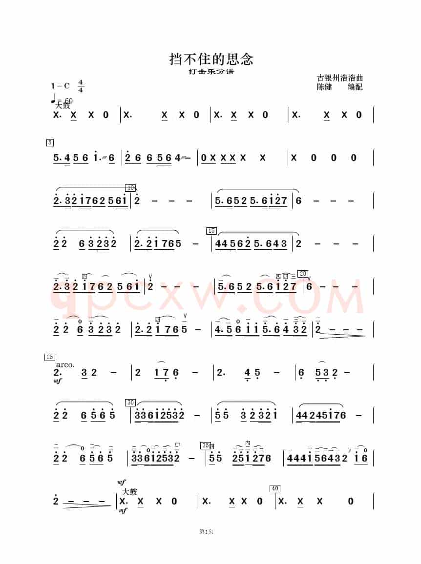 挡不住的思念（民乐合奏）