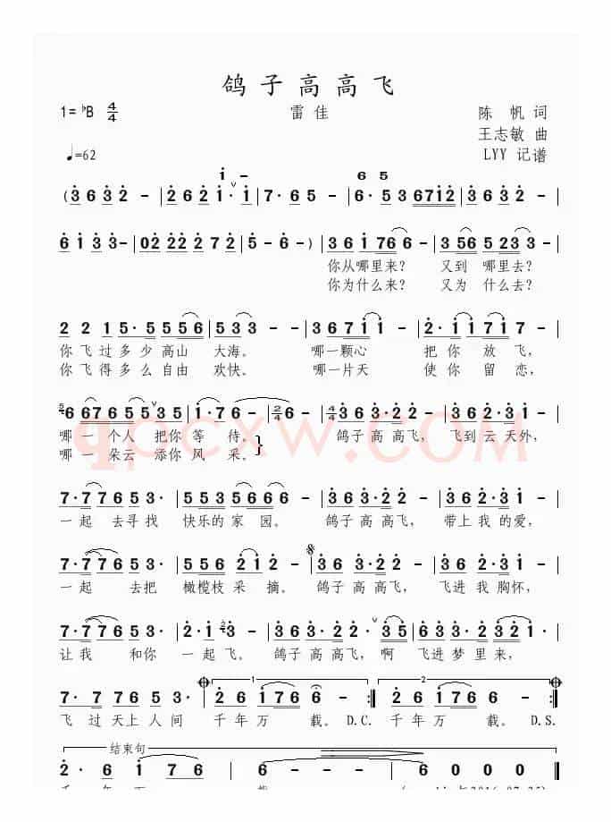 鸽子高高飞