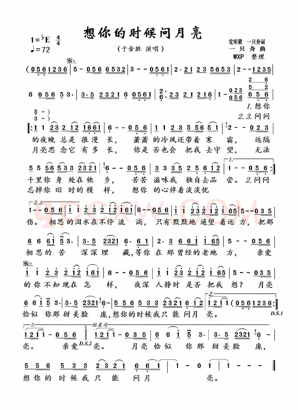 想你的时候问月亮