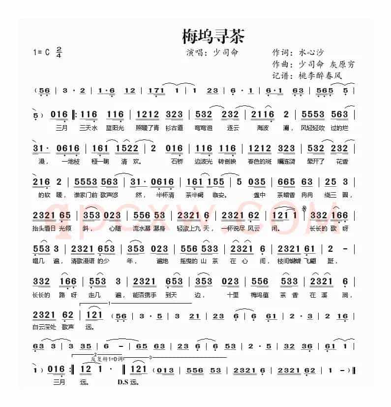梅坞寻茶