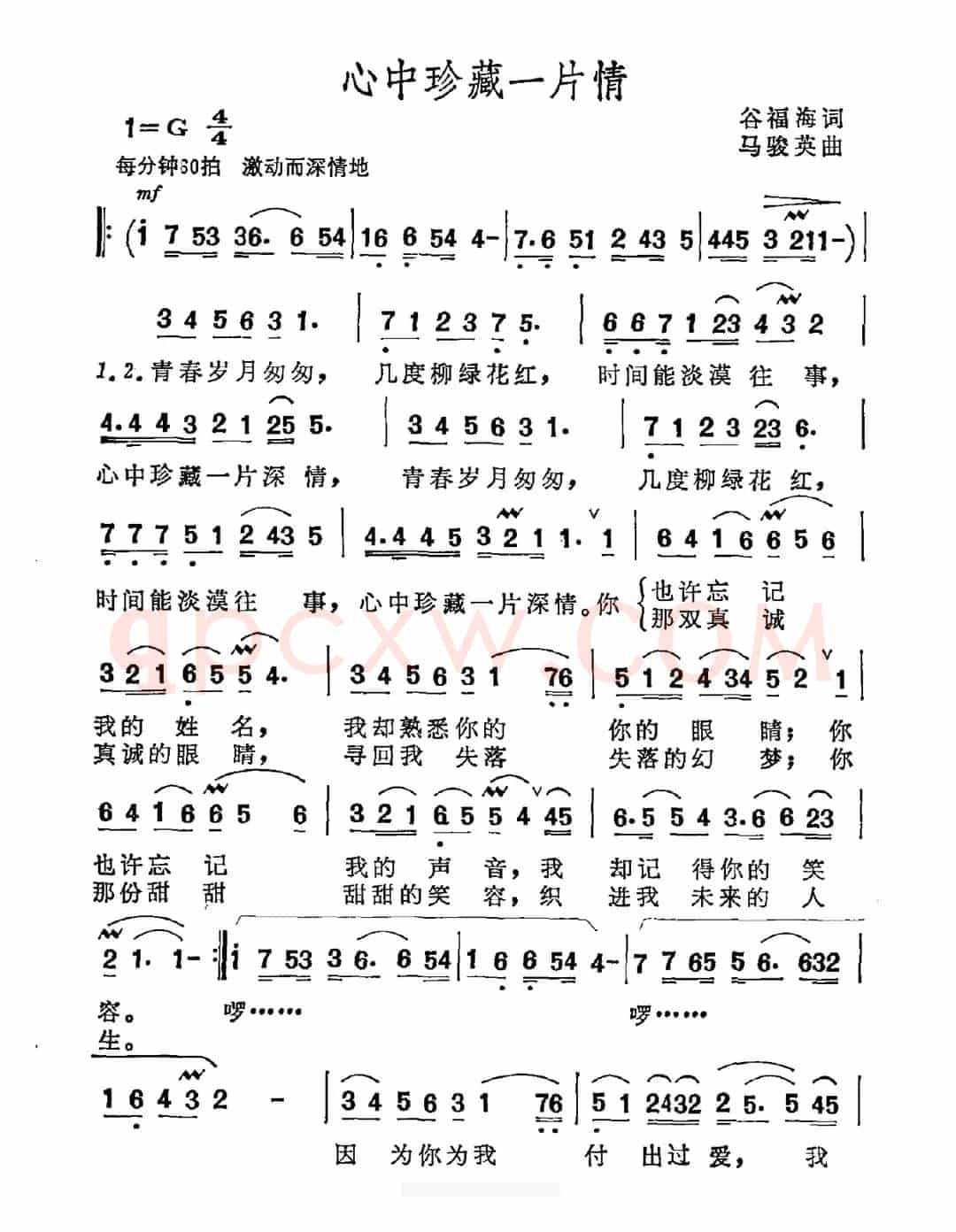 心中珍藏一片情