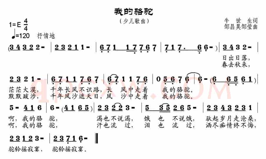 我的骆驼