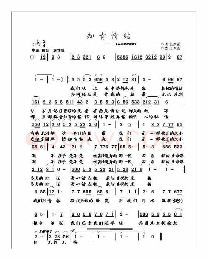 知青情结