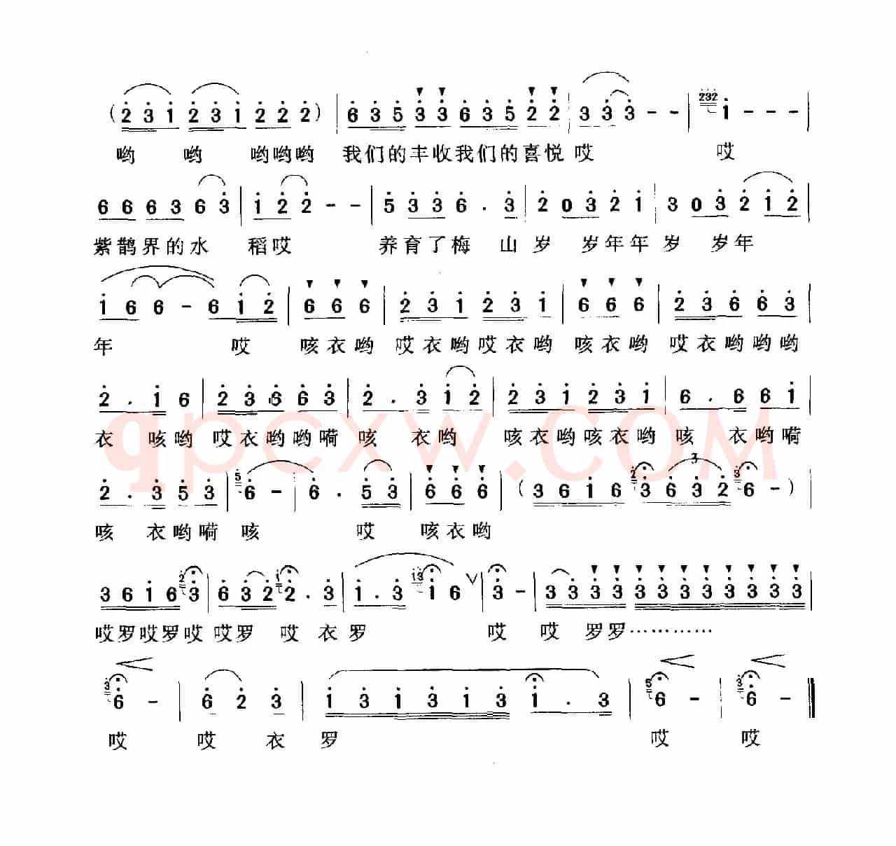 紫鹊界的梯田