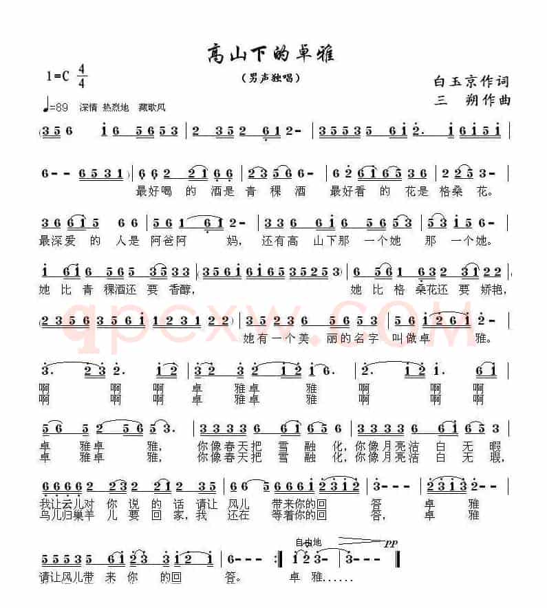 高山下的卓雅