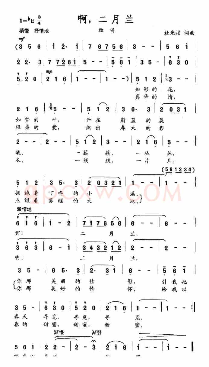 啊，二月兰