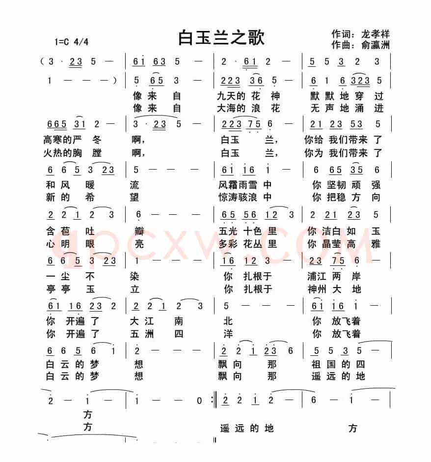 白玉兰之歌