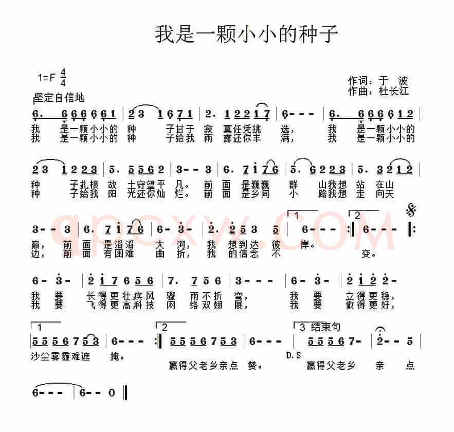 我是一颗小小的种子