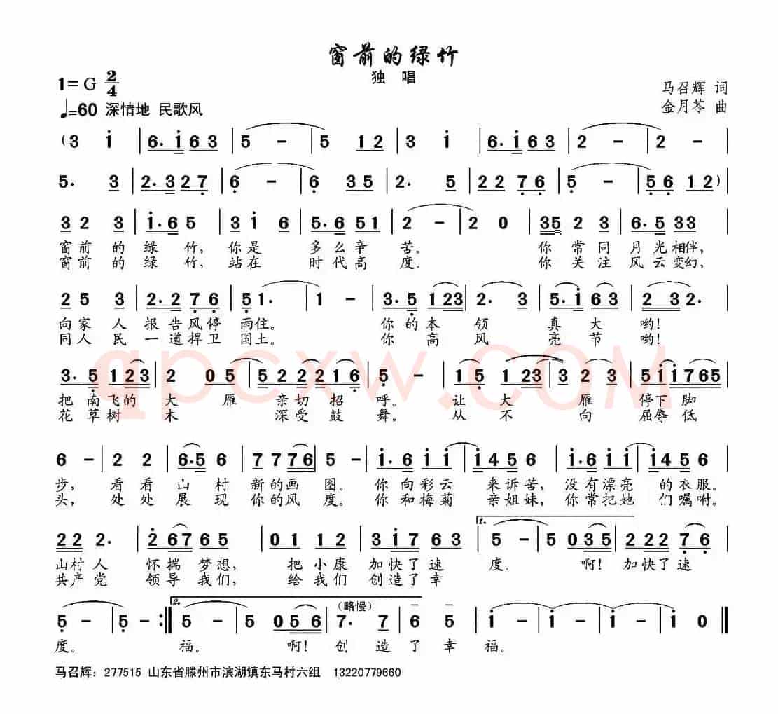 窗前的绿竹