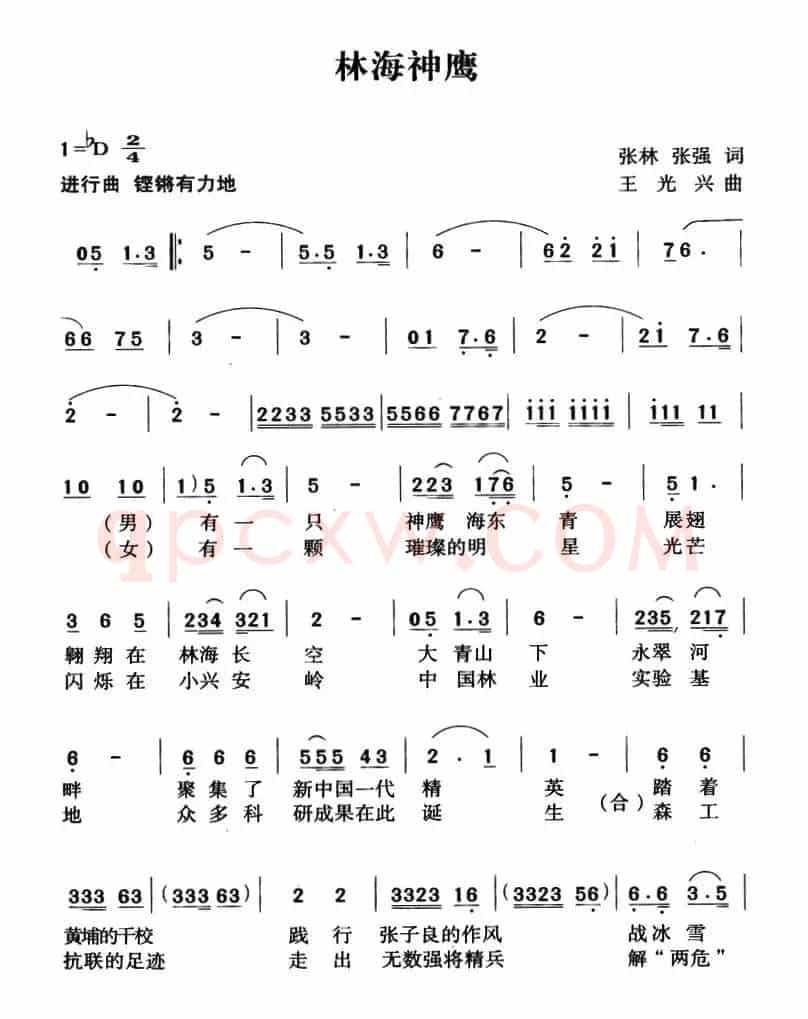 林海神鹰