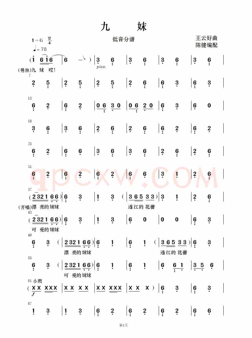 九妹（民乐合奏）