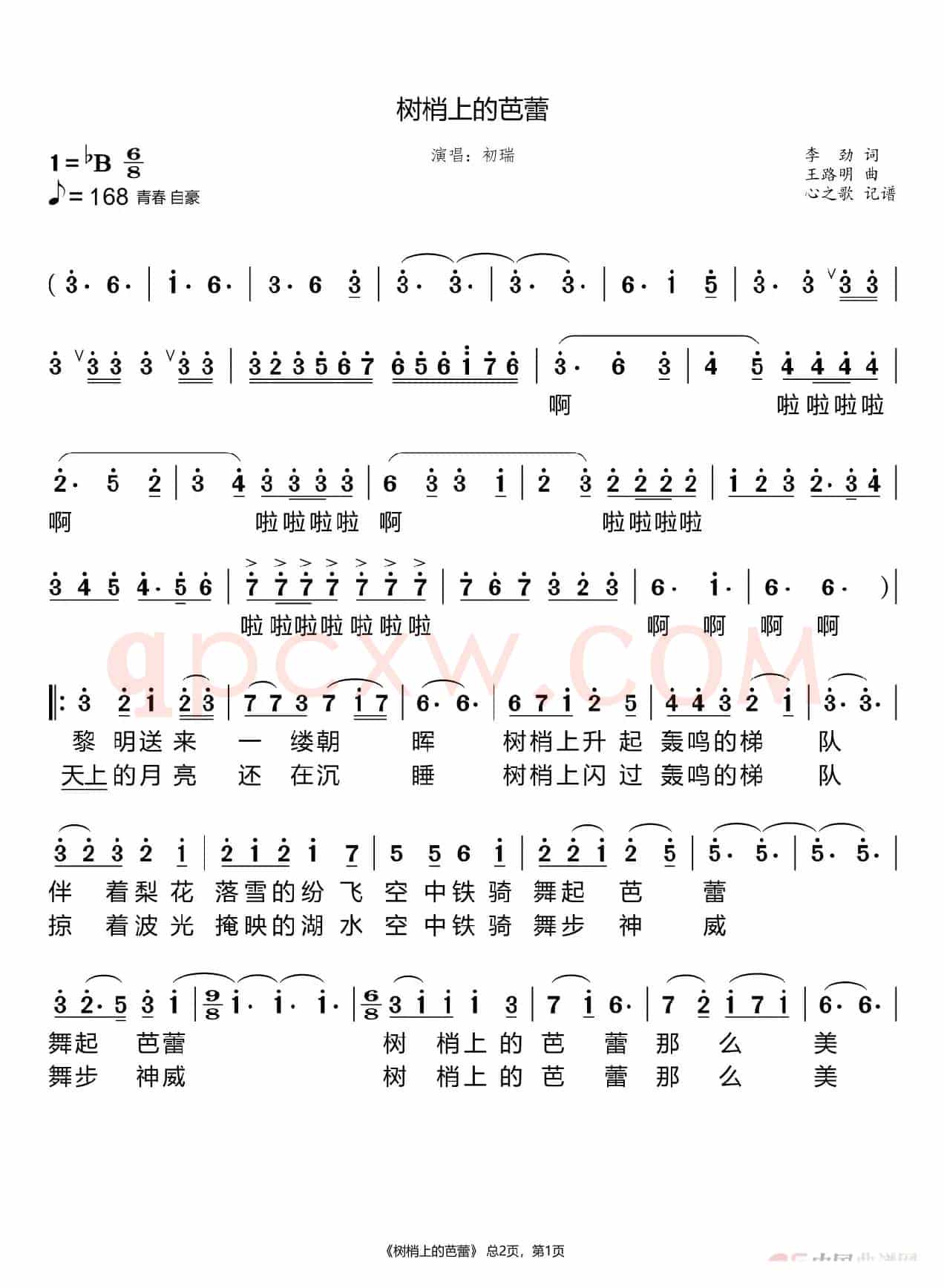 树梢上的芭蕾（初瑞）