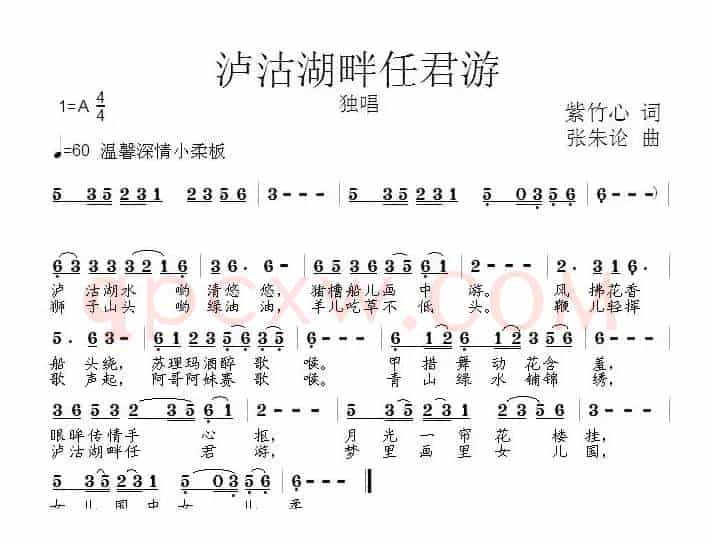 泸沽湖畔任君游