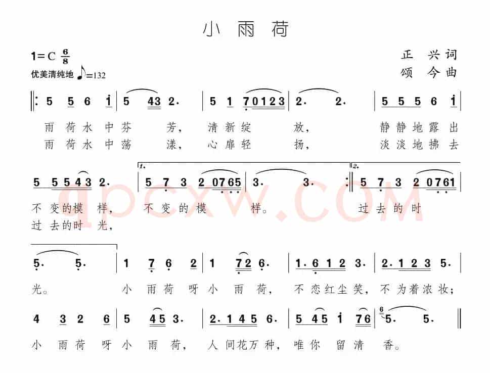 小雨荷