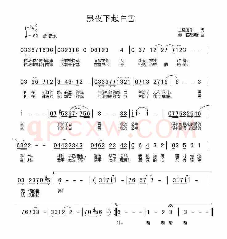 黑夜下起白雪