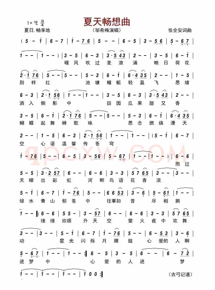 夏天畅想曲