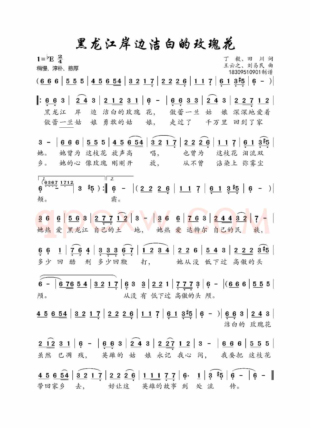 黑龙江岸边洁白的玫瑰花（高清版本）