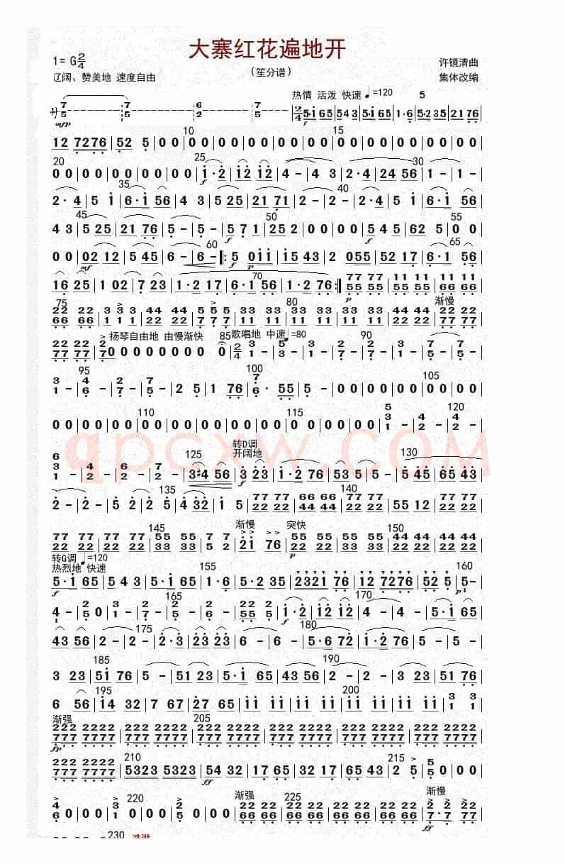大寨红花遍地开（笙（修改版））