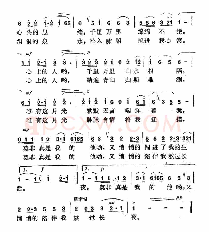 今夜的月色多皎洁