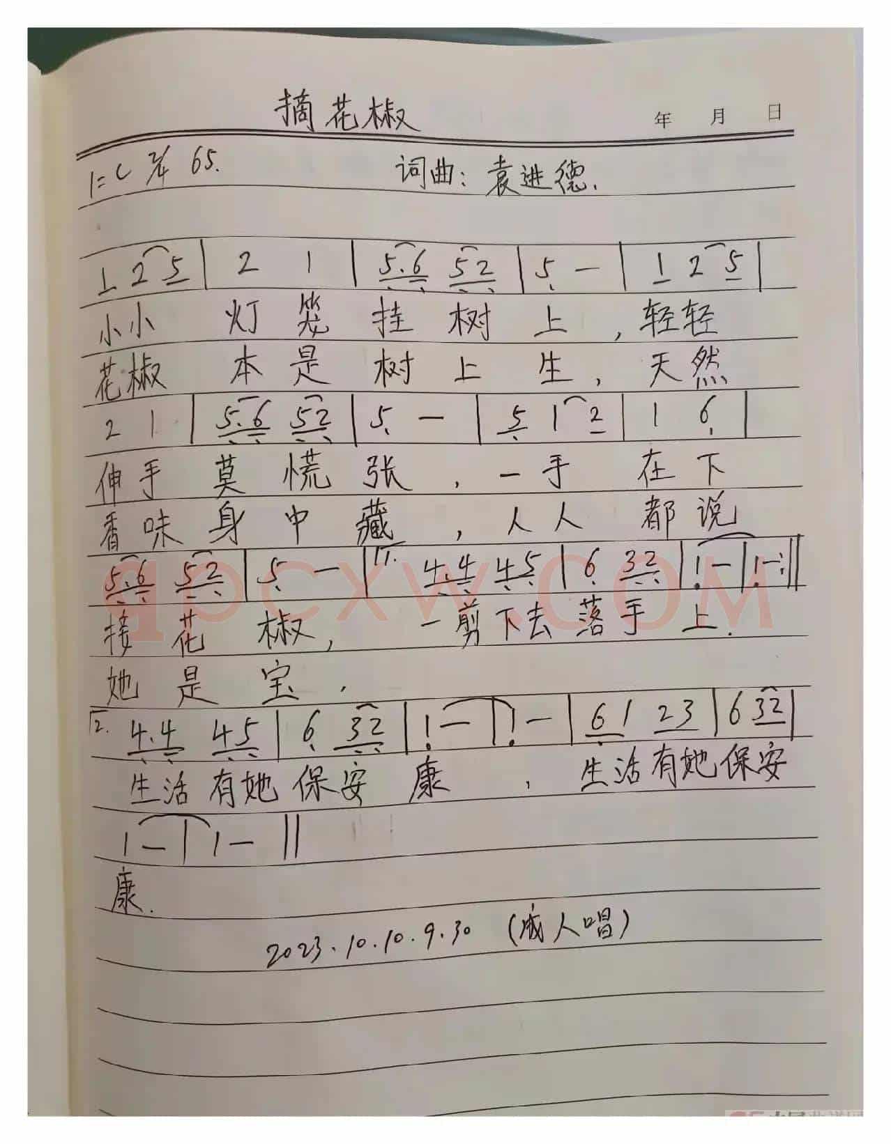 摘花椒(成人版）