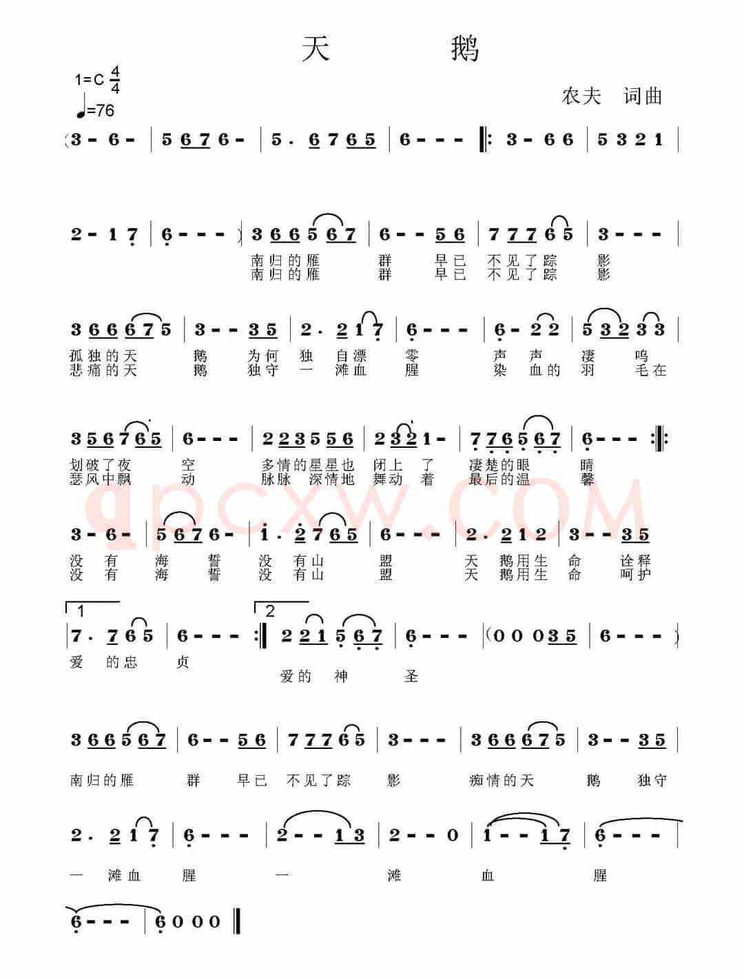 天鹅(农夫 词曲)