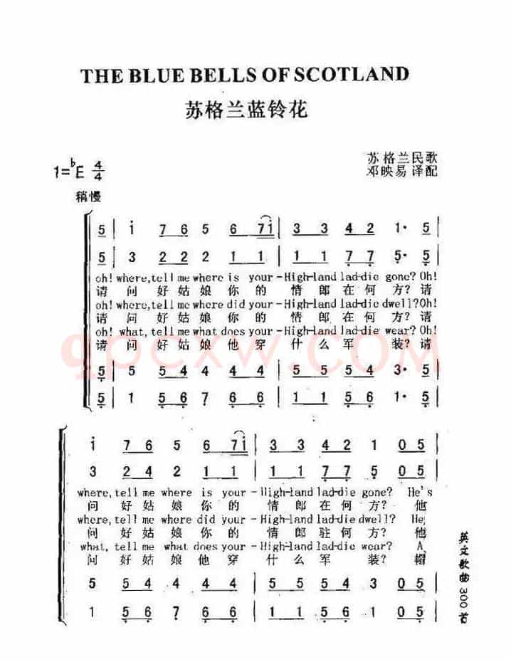 苏格兰的蓝铃花