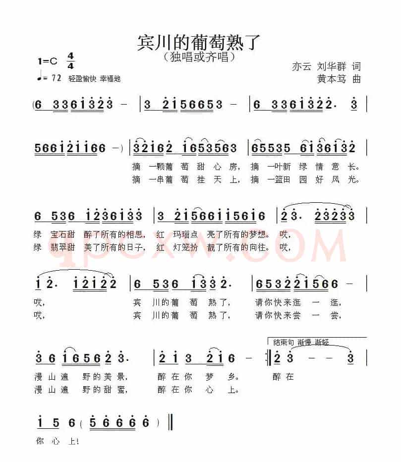 宾川的葡萄熟了