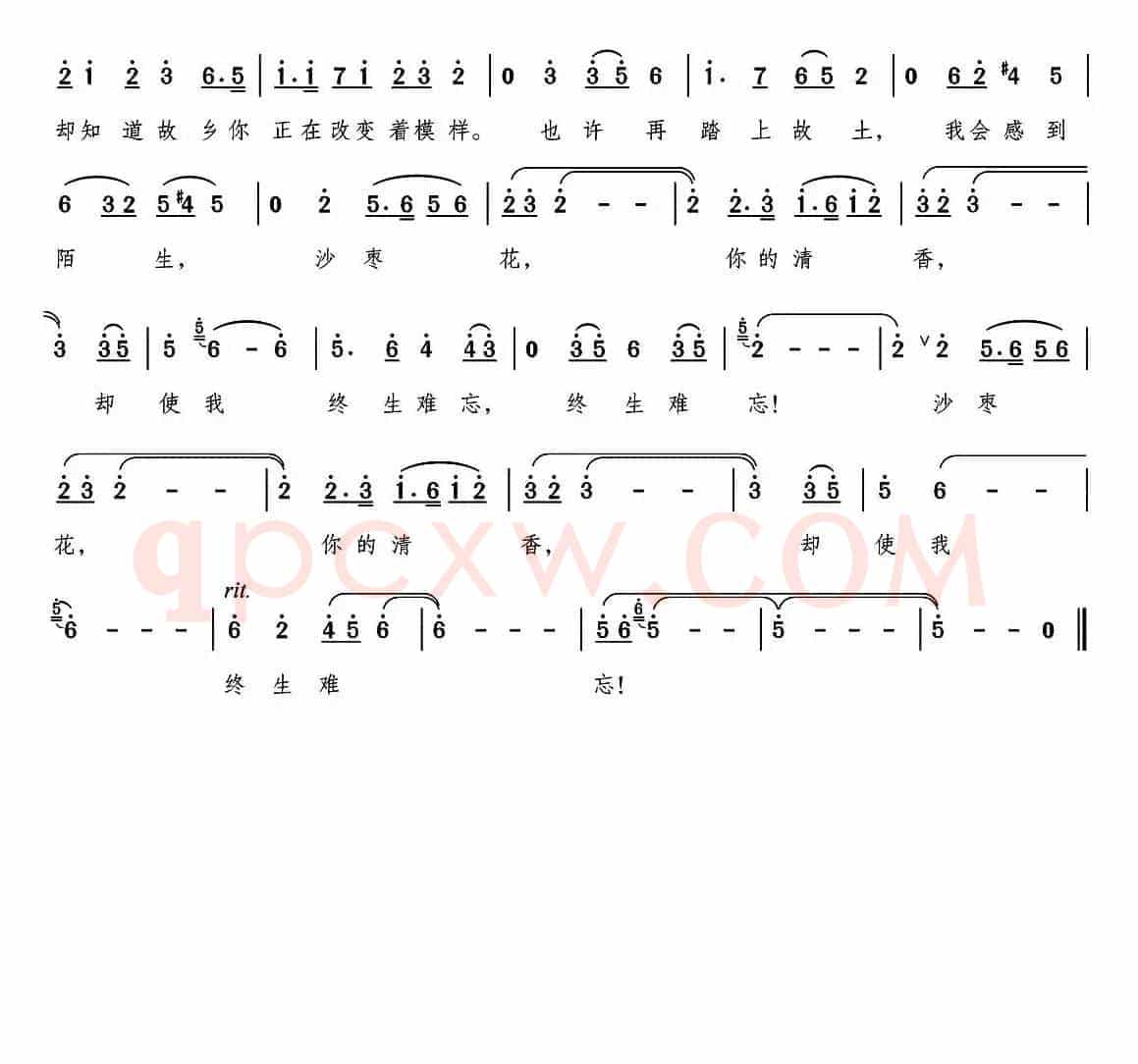 沙枣花飘香的地方（何建华词 颂今曲）