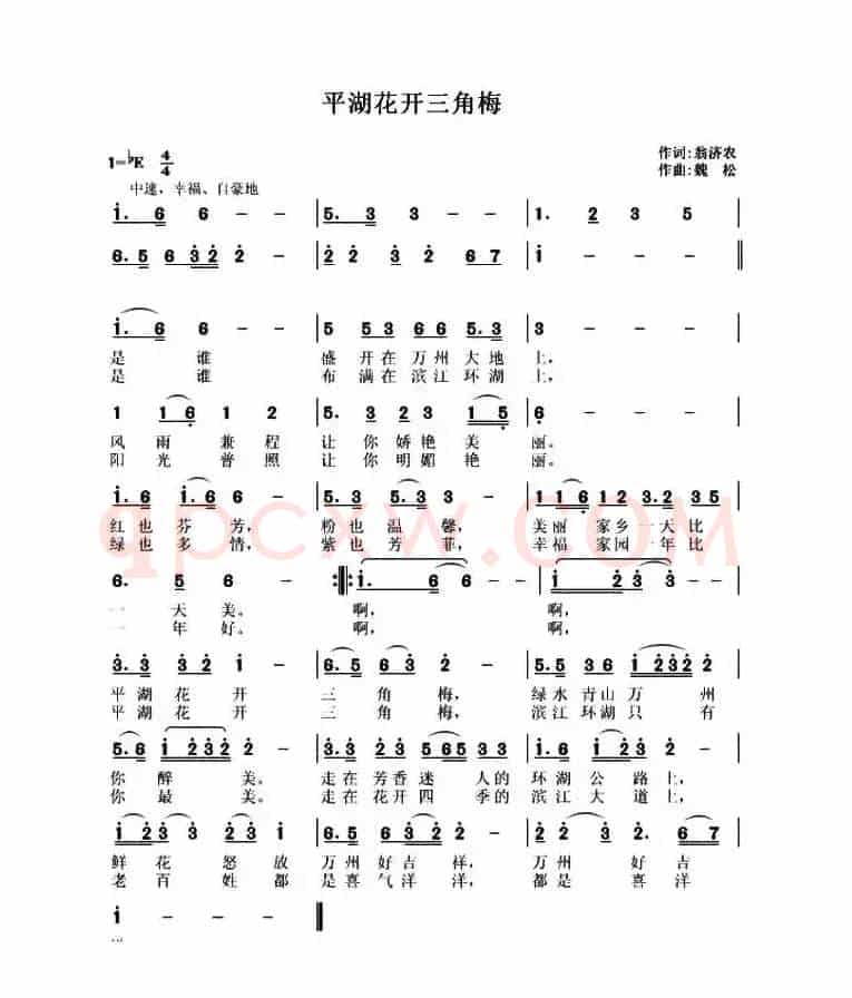 平湖花开三角梅