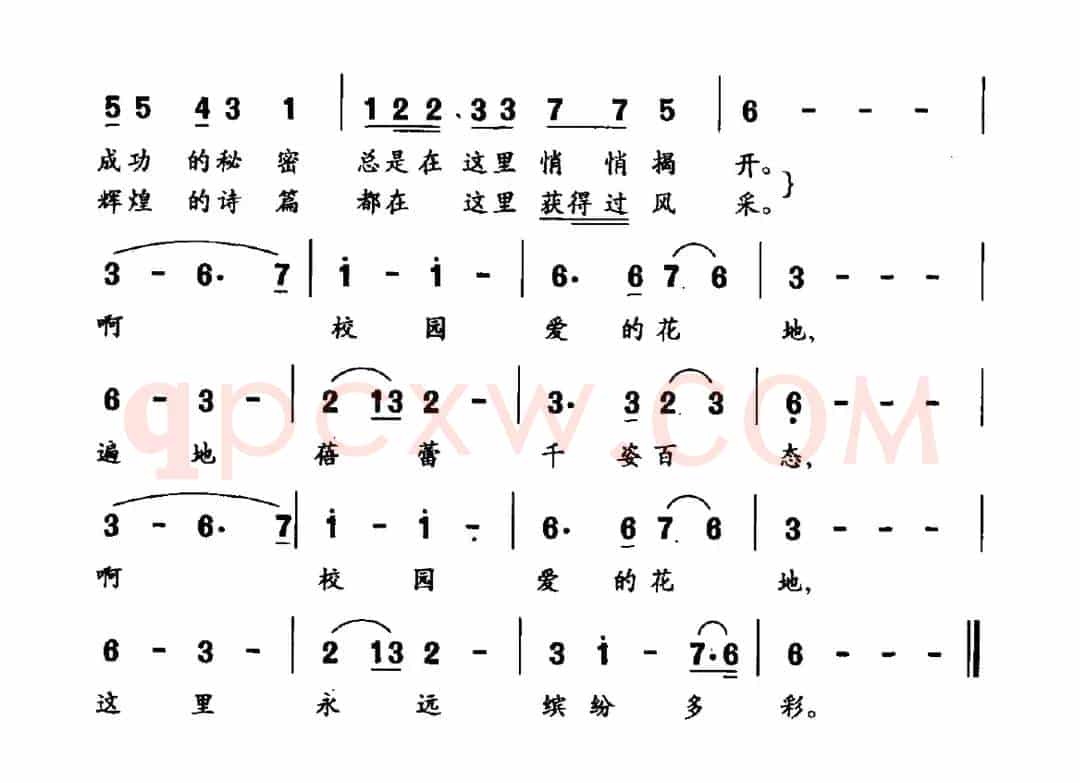 爱的花地（晨枫词 张杰曲）