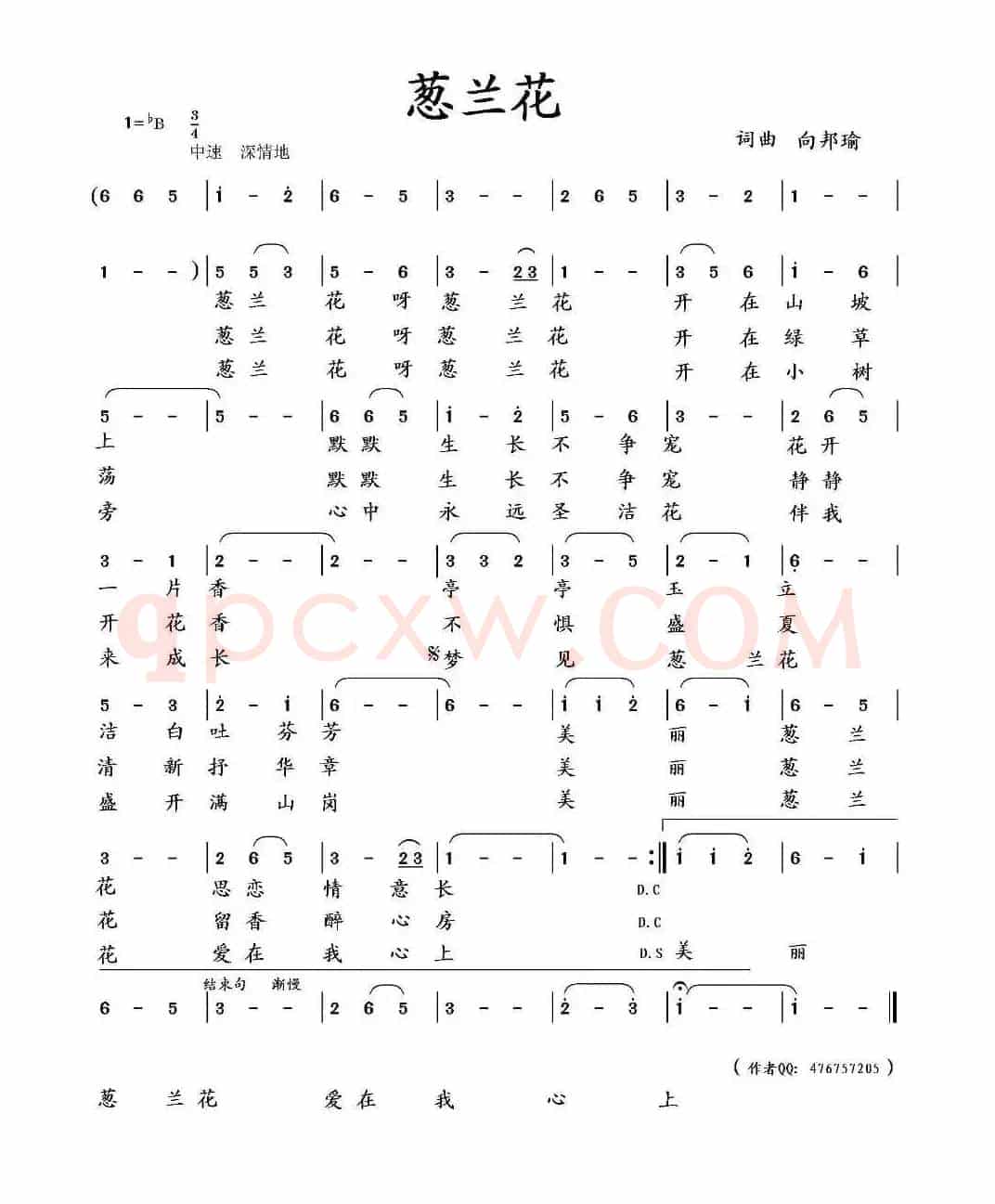 葱兰花(向邦瑜词 向邦瑜曲)