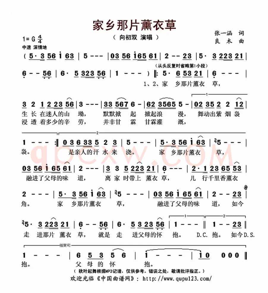 家乡那片薰衣草