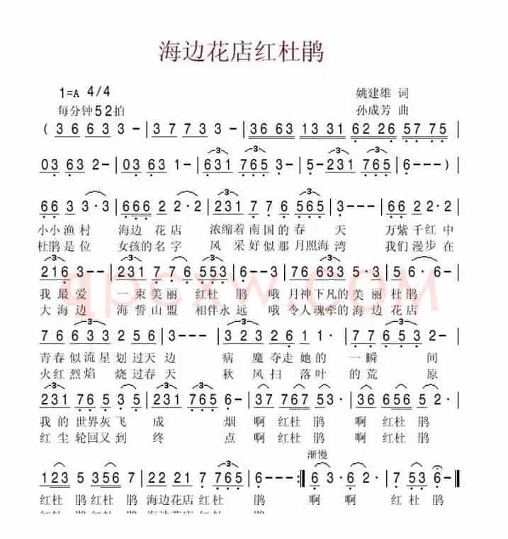 海边花店红杜鹃（姚建雄词 孙成芳曲）