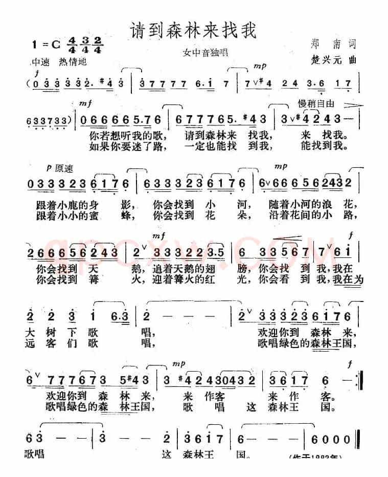 请到森林来找我