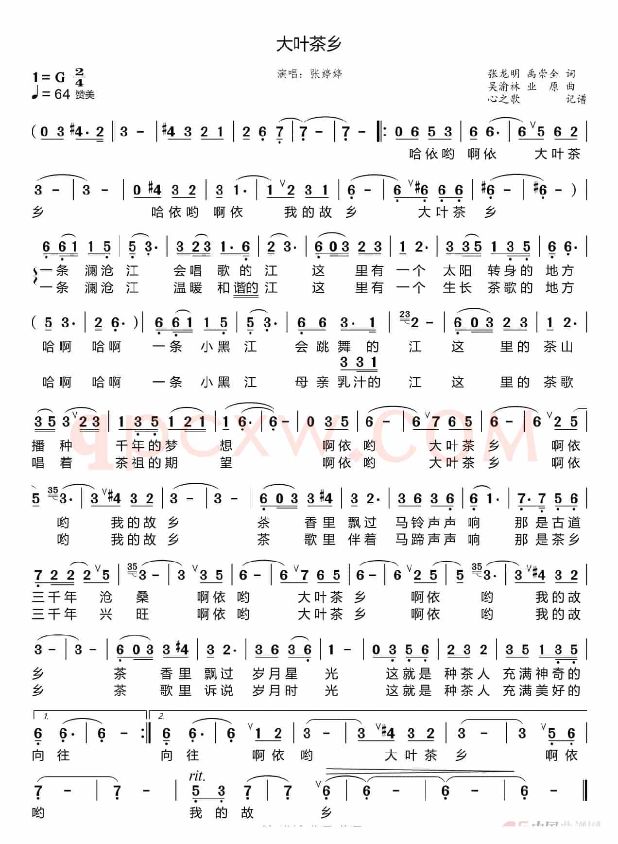 大叶茶乡(张婷婷)